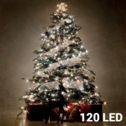 Lumières Blanches de Noël (120 LED)