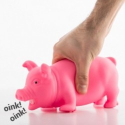 Petit cochon avec son