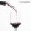 Aérateur de Vin Summum Sommelier Falcon