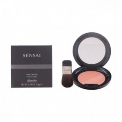 Kanebo - CHEEK BLUSH CH05 4 gr