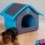 Maison en Tissu pour Animaux