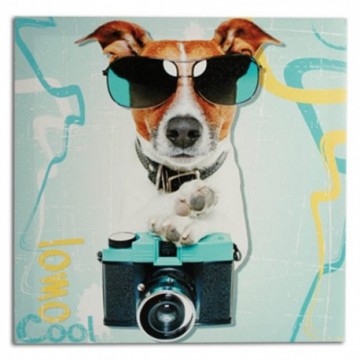 Tableau Chien Photographe 40 x 40 cm