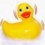 Canard Masseur