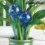 Globes Arrosage Aqua Loon (pack de 2)