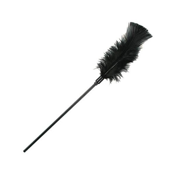 Plumeau Plume à chatouille coquine noire accessoire sexy jeux