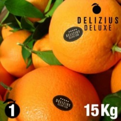 Oranges de Valence Navelines Deluxe 15 kg