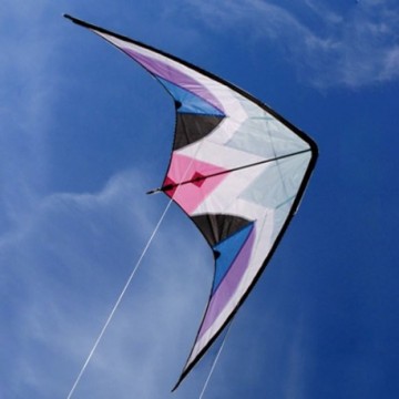 Cerf-Volant Acrobatique Delta