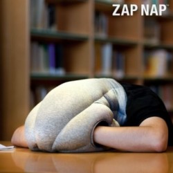 Oreiller Autruche Zap Nap Alien Pillow