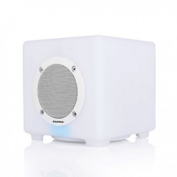 Enceinte Bluetooth LED AudioSonic SK1537