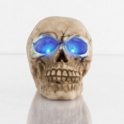 Tête de mort décorative à LED