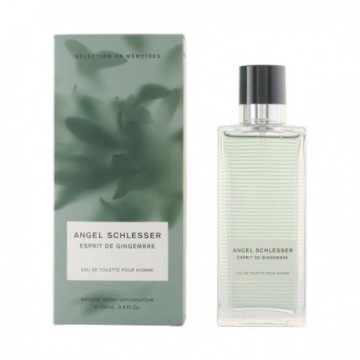 ESPRIT GINGEMBRE HOMME edt vaporizador 100 ml